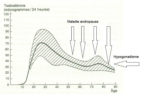 Maladie andropause shéma fléché