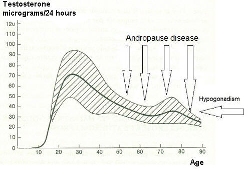 Shema testosterone 24 hours